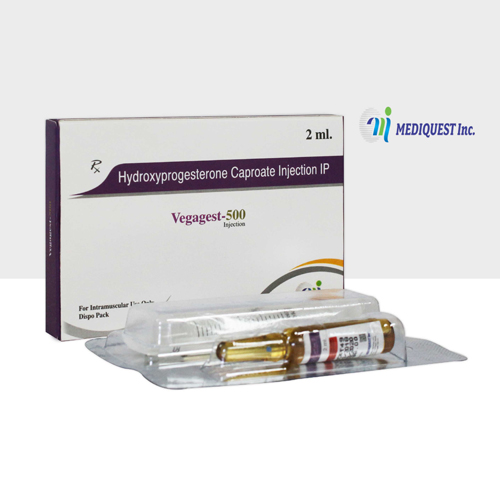 1646988185vegagest-500.jpg