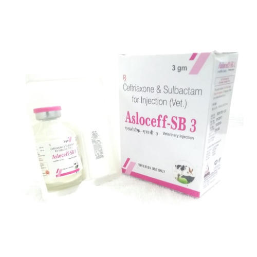 1647360238asloceff-SB.jpg