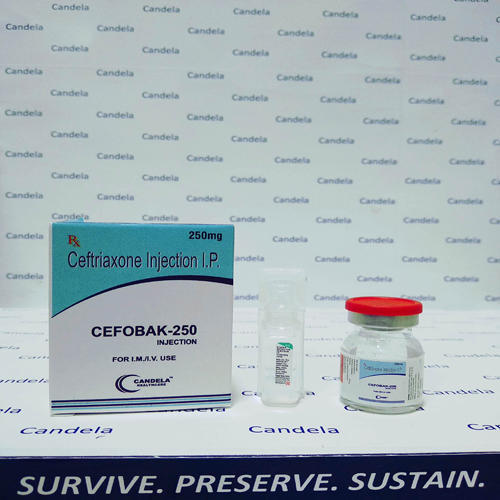 1650805254Ceftriaxone.jpg
